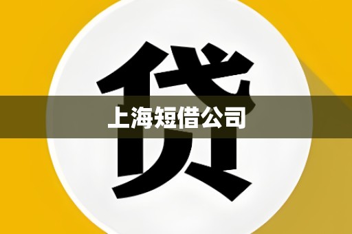 上海短借公司