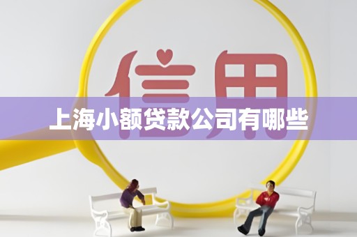 上海小额贷款公司有哪些