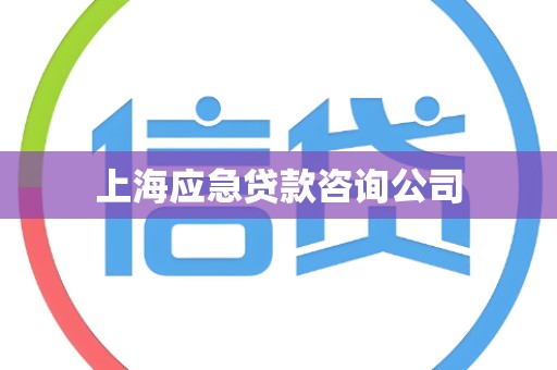上海应急贷款咨询公司