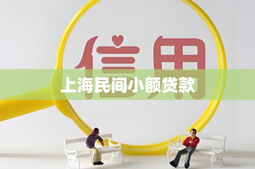 上海民间小额贷款 上海民间小额贷款