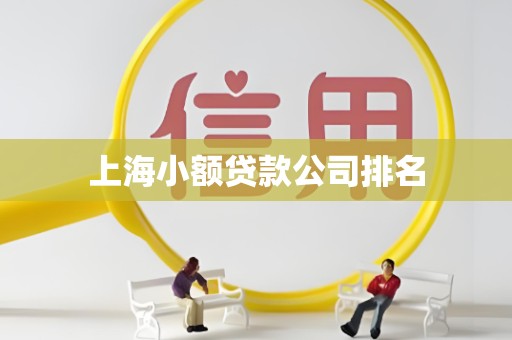 上海小额贷款公司排名