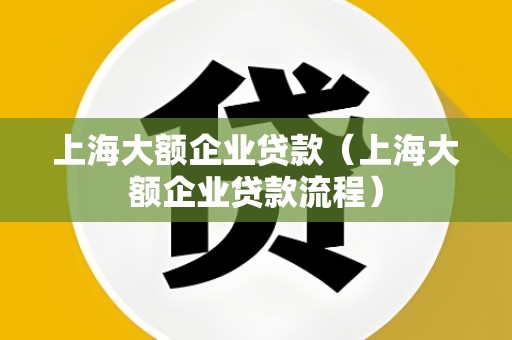 上海大额企业贷款(上海大额企业贷款流程)