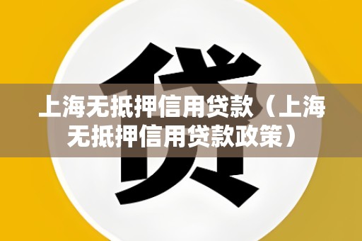 上海无抵押信用贷款(上海无抵押信用贷款政策)