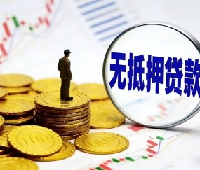 上海德信金盛借款公司​
